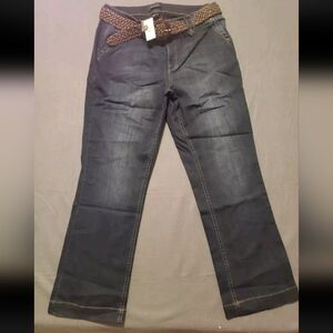 Ashley Stewart size 20 Blue